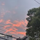 불오뎅 - 김해시 함박로101번길 23 | 불오뎅