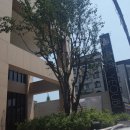 여우비호텔 이미지