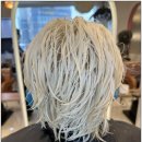 헤어볼하우스 이미지