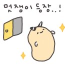 스테이 새록 이미지