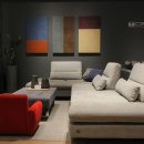 무채의아름다움 이미지