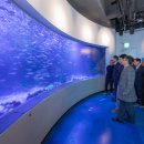 화진포해양박물관 이미지