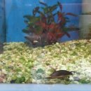 방개농장 이미지