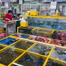 대진항식당 이미지