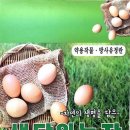 생담원농장 이미지