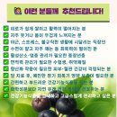 현대메디칼약국 이미지