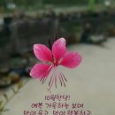 자드락 이미지
