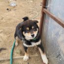 도고농장 이미지