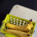 바나나 당구클럽 이미지