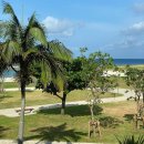 해피카센터 | 3키나와, Day 3.