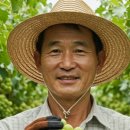 샤인광고 이미지