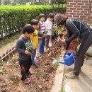 목동어린이집 이미지