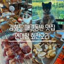 회전고기 | [강화] 강화도 애견동반 맛집 연미정 회전오리 담백한 오리고기 내돈내산 후기