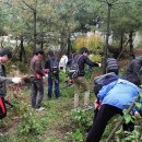 대일고등학교 이미지