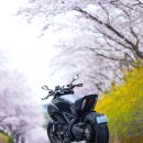 동네한바퀴 이미지