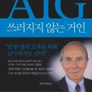 주식회사 아스트로스인터내셔널 | AIG, 쓰러지지 않는 거인