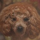 봉산여관 이미지