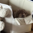 오땡큐배곧점 | [일기] 10월 1/2, 다양한 사람들과 풍족하게, Monthly diary