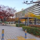 구덕운동장 체육공원 이미지