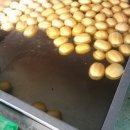 소영농장 이미지