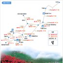 호남의 명산 월출산 산행 안내 이미지