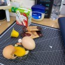 사과나무미용실 - 북구 참판로 75 | 서울우유 사과나무 리얼후기