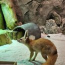 후용초등학교 | [하남 스타필드옆] 주렁주렁 실내 동물원