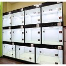 푸른펫살롱 이미지