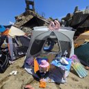 대진길 | 강원도 삼척 고성 대진항 스노클링 후기