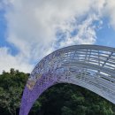 우두산민박 | 가볼만한곳 정읍 구절초 꽃축제. 거창 우두산 출렁다리 관람후기 포항 농협주부대학 고주모21기 회원들...