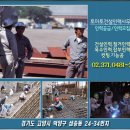 토마토 인력 네이버블로그