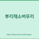 버무리 이미지