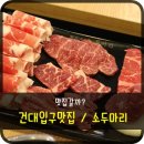 건대 소두마리 이미지