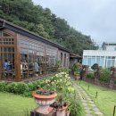 동해시-32 | 동해시 대형카페 *현상소* 주말 웨이팅 후기