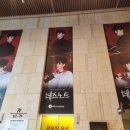 260512 뮤지컬 <데스노트>: 역시 인간은 재밌어! / 김민석 김준수 케이 양승리 장은아 (공연정보, 넘버...