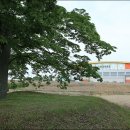 이용대체육관 이미지