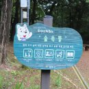 양천근린공원 이미지