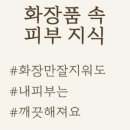 화장품속으로