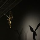 예비된방주1 이미지