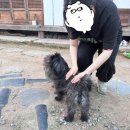 경주송화도서관 화장실 | [국내여행] 경주 여행기 (2) - 핫하다 황리단길