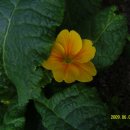 양지1어린이집 이미지