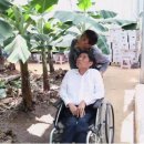 박영애농장 이미지