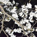 푸르름의 농원 이미지