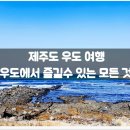 드라마힐즈주 | 제주도 우도 여행 :: 우도에서 즐길수 있는 모든 것!(봄 축제 필수 방문) / 폭싹 속았수다, 관광, 자유...