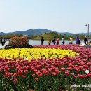 바느질하는농부 이미지