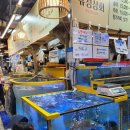 &lt;강릉여행&gt; 강릉중앙시장 회센터 방어회가격 후기 강릉숙소