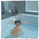 메종 드 아일랜드 | 대부도 가족펜션 메종드라메르 독채 풀빌라 12인 머문 솔직 후기