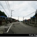 도 경계 도화동산 네이버블로그