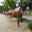 남대구초등학교 이미지