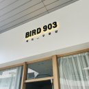 동백 버드 903스튜디오